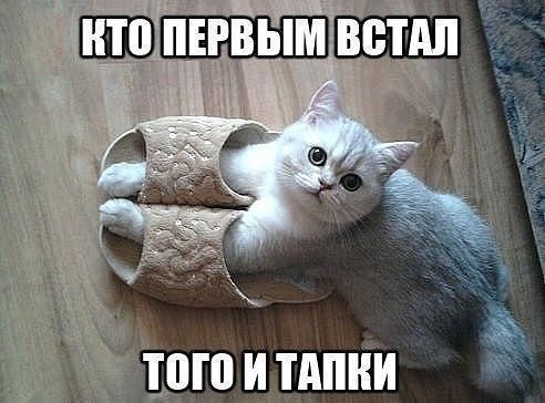 getImage (1)