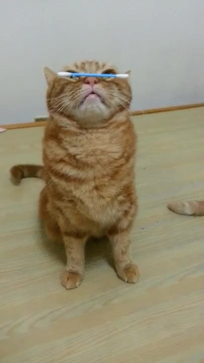 Z3AwW7t - Imgur