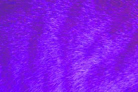 ррррррррррр