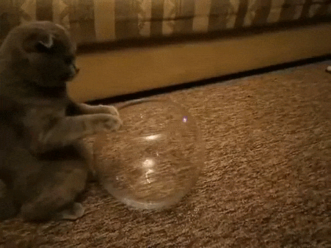 Котэ - жидкость