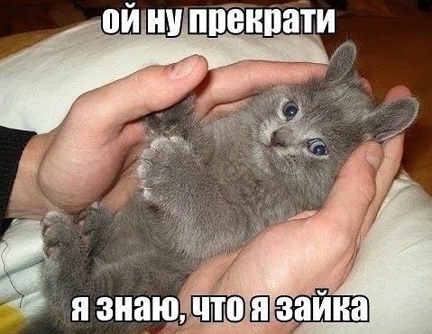 getImage (1)