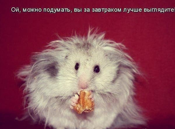 getImage