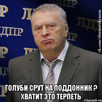 hvatit-eto-terpet-zhirinovskij_20685082_orig_