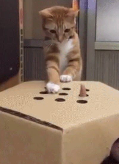 321