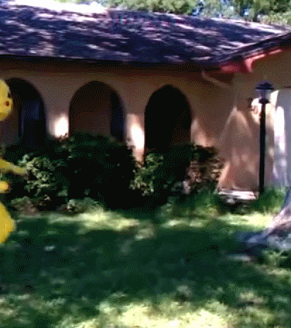 anigif_enhanced-buzz-13055-1431632497-5