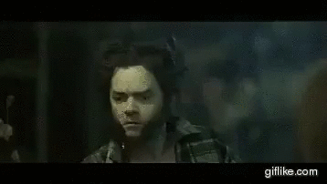 wolverine