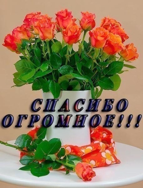2Tw_TFfUyrE