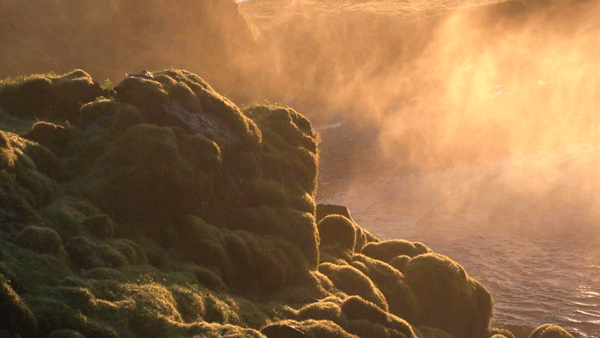 59398076663069_original_(13)