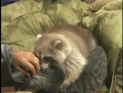 1eb42e85ef_1365171539_maar-af-en-toe-willen-ze