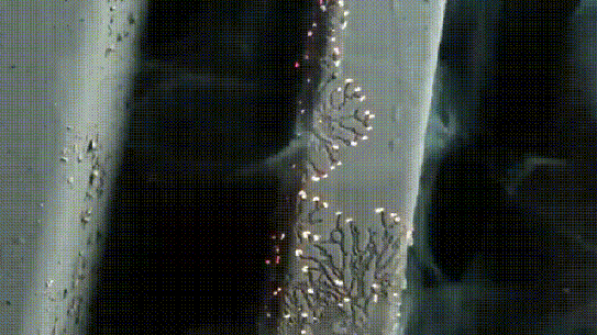 02286ba8add8193574915f6fafd