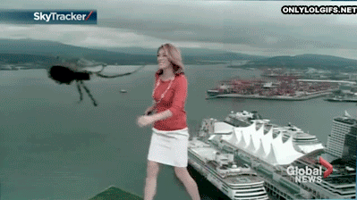 gifs_05 (3)