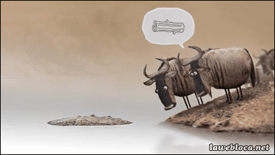 tumblr_nq29f60mEE1slwrsuo1_400