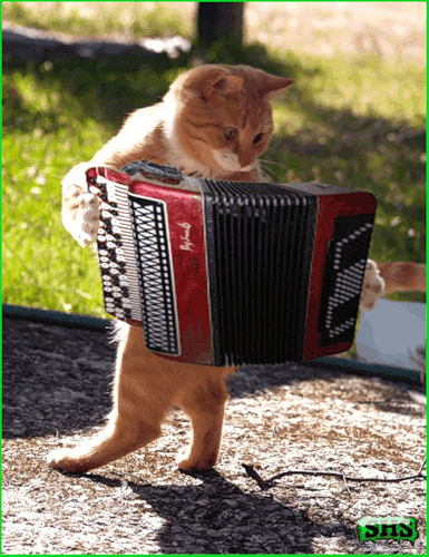 0_6a8d7_a12a02a_L_yapfiles.ru