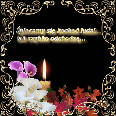 znicz1_r0_orig