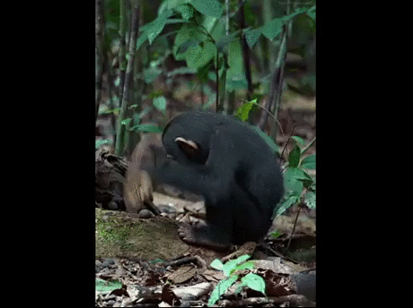 aZNNDNz_460sv