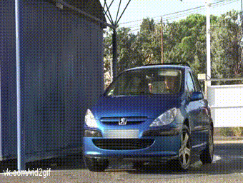 1390668438_1555314273