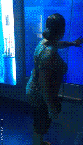 -акула-атака-кирпичи-1363360