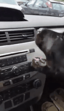 1436002503_750184266