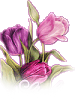 57548844_tuliplinks