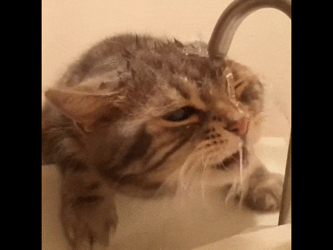 8c43e11399fd64e838f698ca9ee