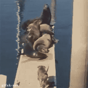 9d19d9326ec5dc72f2adebcd874