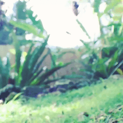 1 (13)