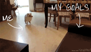 dog_jump