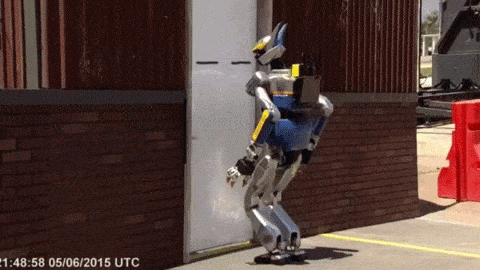 real-life-doodles-живые-дудлы-doodles-много-гифок-2216073