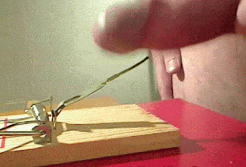 tumblr_mbj9hkKF0n1rp8jo9o1_500