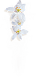 njnjn