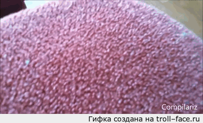troll-face.ru_736d04