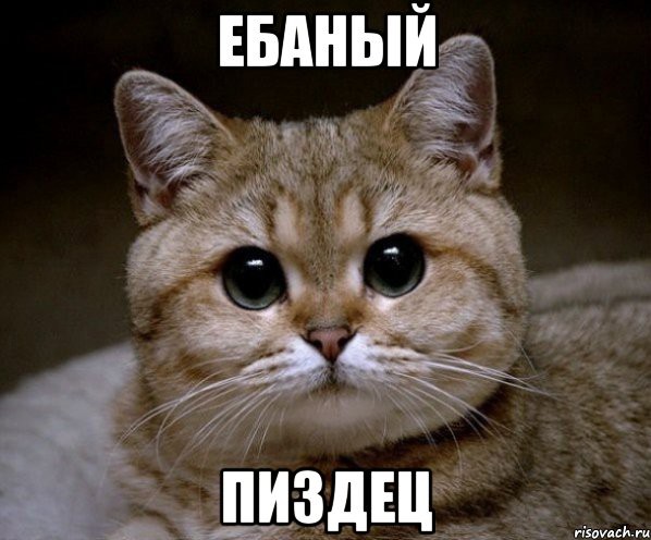 5895722