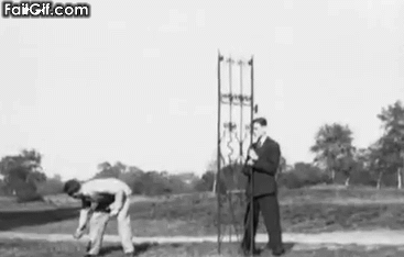 fakt1