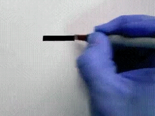 1428227604_1481320382