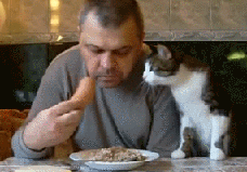 _yapfiles.ru