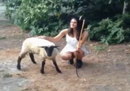 1431845569_64123a32c6294707