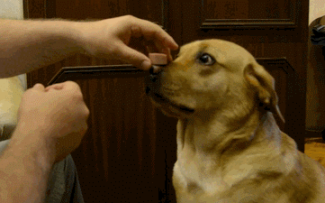 1842ddb7b1d3b6aeab3a6611c9a