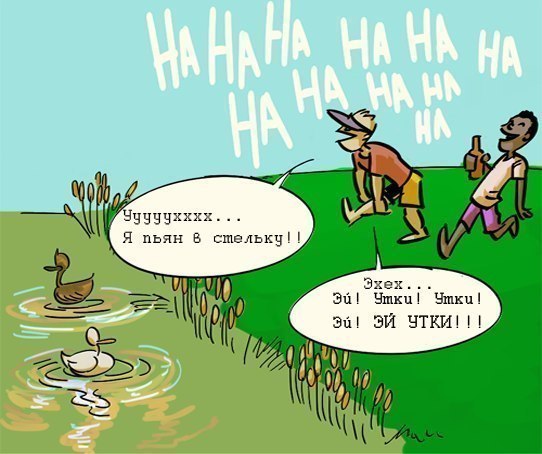 утки