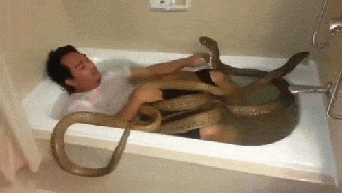 daily_gifdump_859_01