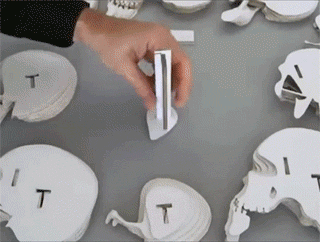 1439068299_1754093315