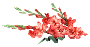 smail.ru