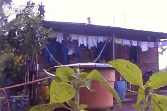 0_166b0b_b31e5a7b_orig