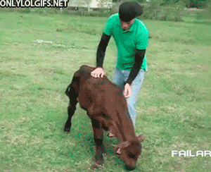 5624bf633f8a5fe2ee81b6507e1