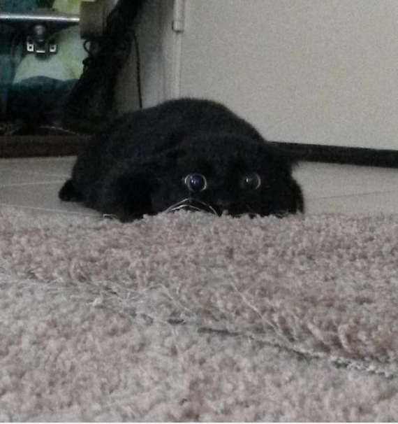 8760