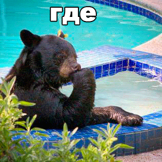 мед