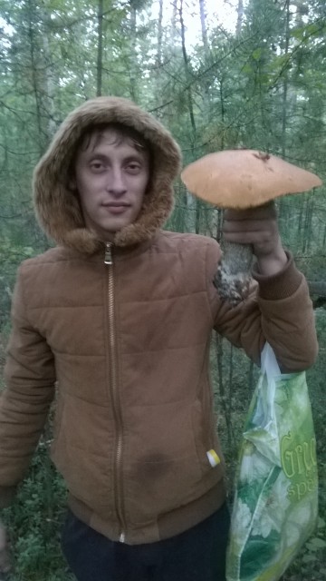 WP_20150804_21_02_45_Pro