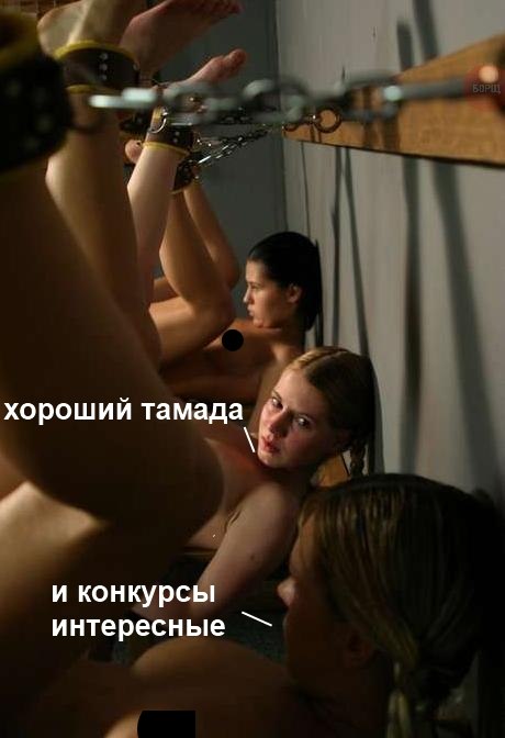 1429292459_abkjjbitqni