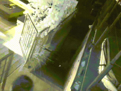 zhivnostenotmilota1690442_yapfiles.ru