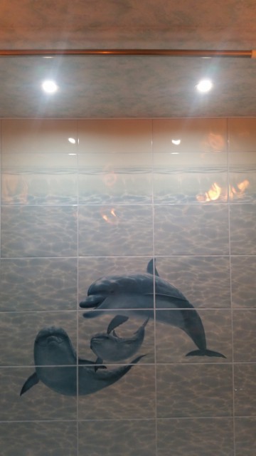 2015-03-18 19.47.24-