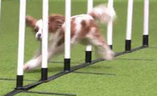 b907652cb94ee4d71c6c7e45360152be